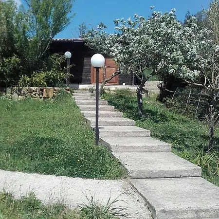 Natura E Cavallo *