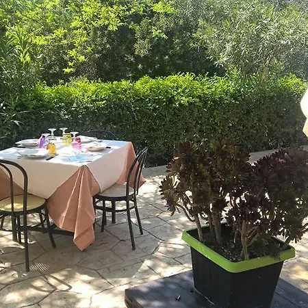 Natura E Cavallo Tolfa