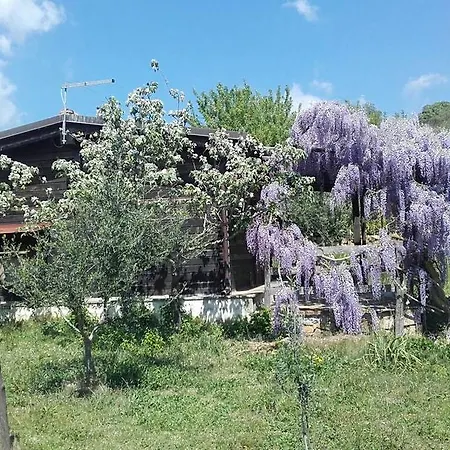 Natura E Cavallo *