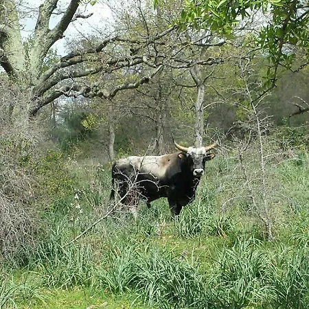 Natura E Cavallo Bauernhof *