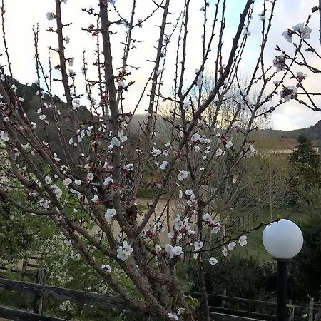 Natura E Cavallo *